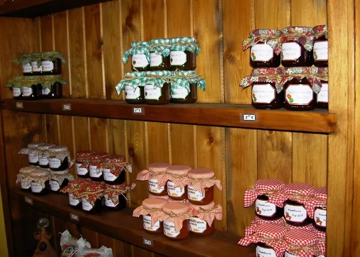 El Caminero Bed and breakfast 3*